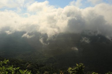 Tayland cliff üzerinde sis