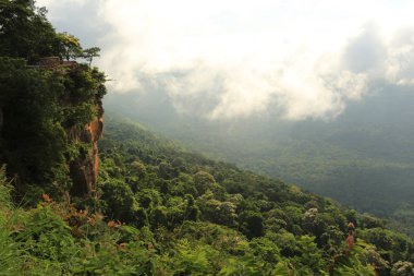 Tayland cliff üzerinde sis