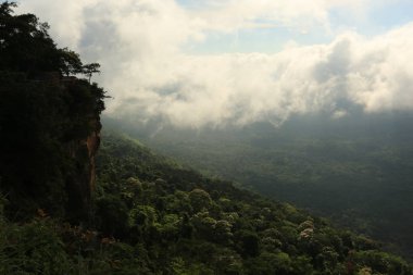 Tayland cliff üzerinde sis