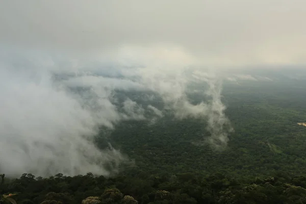 Niebla en el acantilado en Tailandia — Foto de Stock