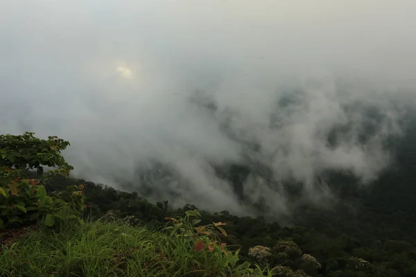 Nebel auf Klippe in Thailand — Stockfoto