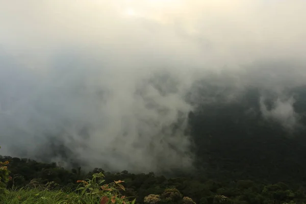 Tayland cliff üzerinde sis — Stok fotoğraf