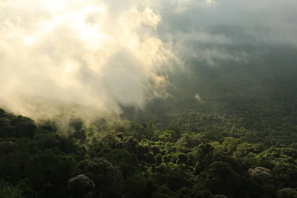 Nebel auf Klippe in Thailand — Stockfoto