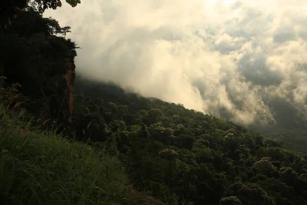 Nebel auf Klippe in Thailand — Stockfoto