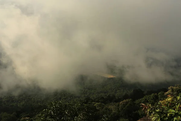 Nebel auf Klippe in Thailand — Stockfoto