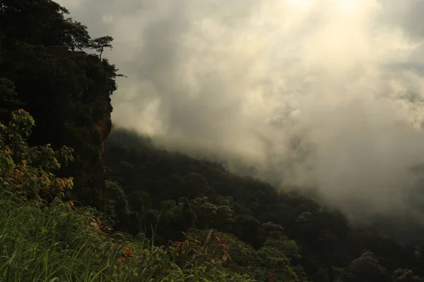 Nebbia sulla scogliera in Thailandia — Foto Stock