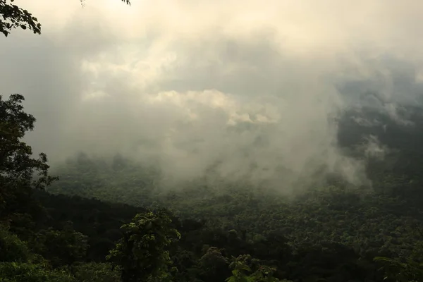 Niebla en el acantilado en Tailandia — Foto de Stock