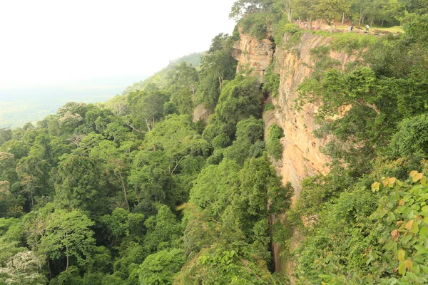 Tayland cliff üzerinde sis