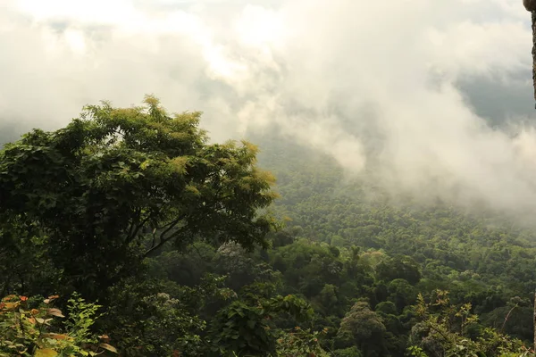 Nebbia sulla scogliera in Thailandia — Foto Stock