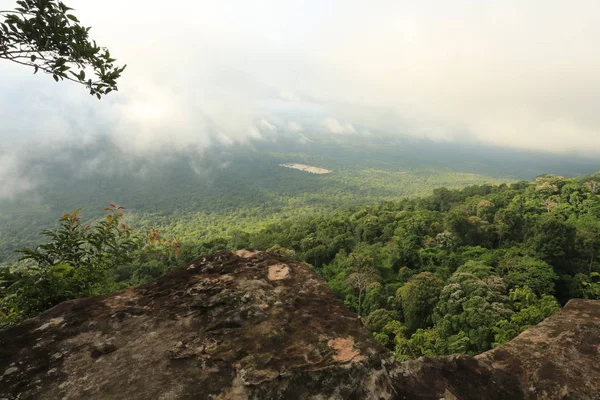 Brume sur la falaise en Thaïlande — Photo