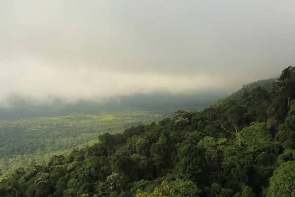 Nebel auf Klippe in Thailand — Stockfoto