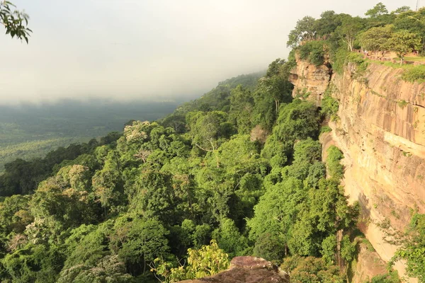 Tayland cliff üzerinde sis