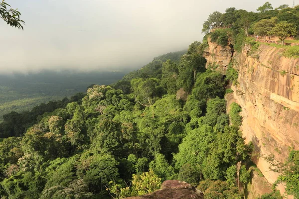 Tayland cliff üzerinde sis