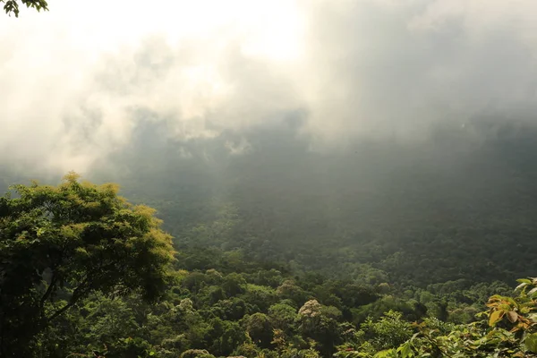 Nebbia sulla scogliera in Thailandia — Foto Stock