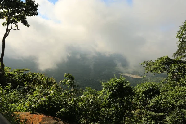 Brume sur la falaise en Thaïlande — Photo