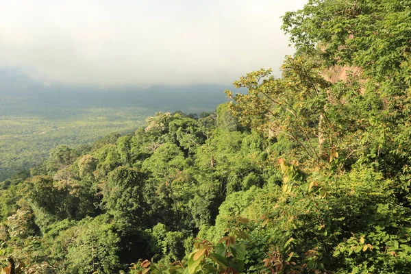 Nebbia sulla scogliera in Thailandia — Foto Stock