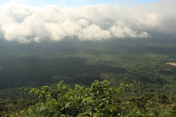 Niebla en el acantilado en Tailandia — Foto de Stock