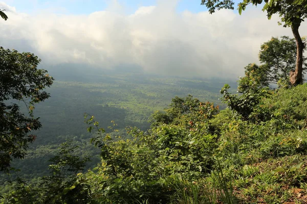 Nebbia sulla scogliera in Thailandia — Foto Stock