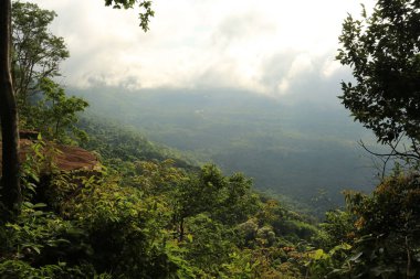 Tayland cliff üzerinde sis