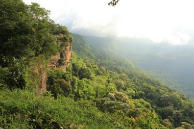 Tayland cliff üzerinde sis