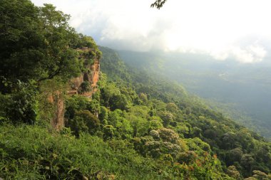 Tayland cliff üzerinde sis