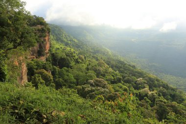 Tayland cliff üzerinde sis