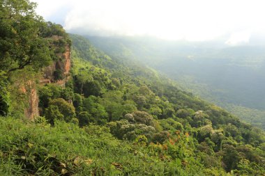 Tayland cliff üzerinde sis
