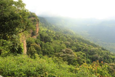 Tayland cliff üzerinde sis