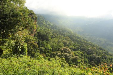 Tayland cliff üzerinde sis