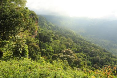 Tayland cliff üzerinde sis