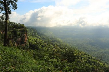Tayland cliff üzerinde sis