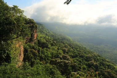 Tayland cliff üzerinde sis