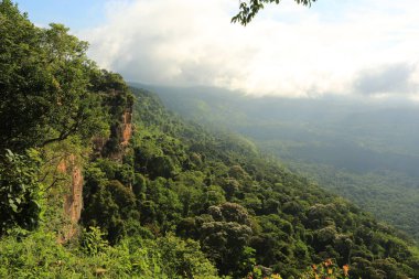 Tayland cliff üzerinde sis