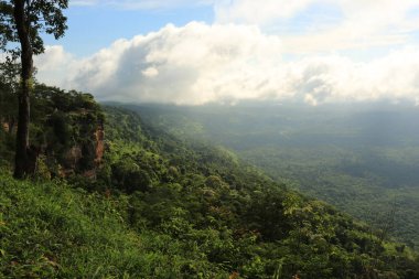 Tayland cliff üzerinde sis