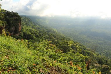 Tayland cliff üzerinde sis