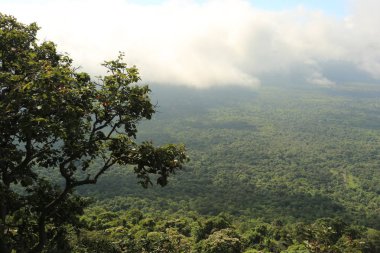 Tayland cliff üzerinde sis