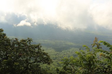Tayland cliff üzerinde sis