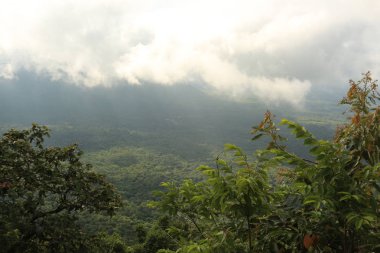 Tayland cliff üzerinde sis
