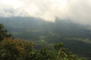 Tayland cliff üzerinde sis