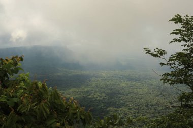 Tayland cliff üzerinde sis