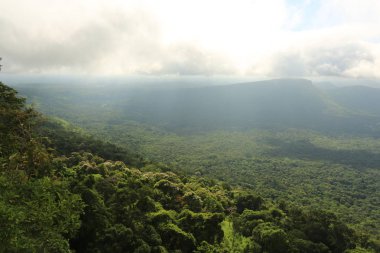 Tayland cliff üzerinde sis