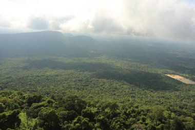 Tayland cliff üzerinde sis