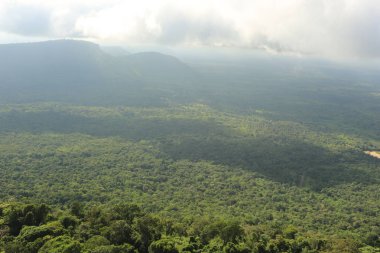 Tayland cliff üzerinde sis