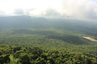 Tayland cliff üzerinde sis