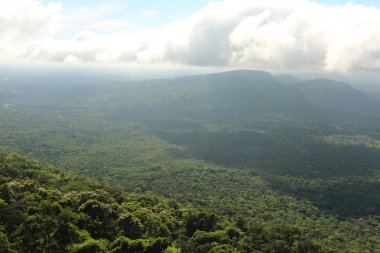 Tayland cliff üzerinde sis
