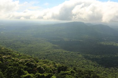 Tayland cliff üzerinde sis