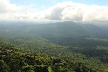 Tayland cliff üzerinde sis