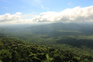Tayland cliff üzerinde sis