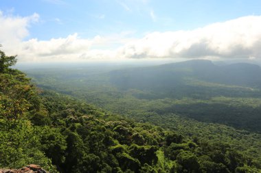 Tayland cliff üzerinde sis