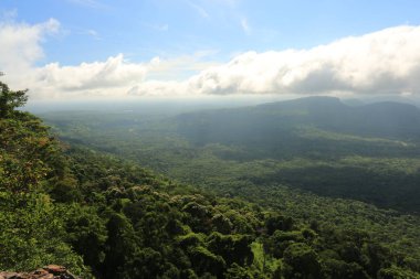Tayland cliff üzerinde sis